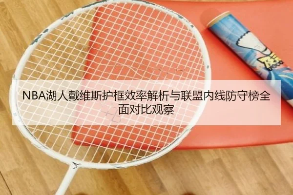 NBA湖人戴维斯护框效率解析与联盟内线防守榜全面对比观察