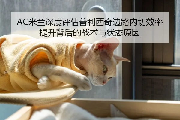 AC米兰深度评估普利西奇边路内切效率提升背后的战术与状态原因